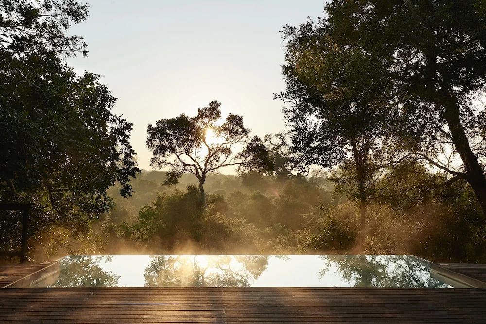 Infinity Pool mit atemberaubendem Sonnenuntergang und Blick auf den Wald