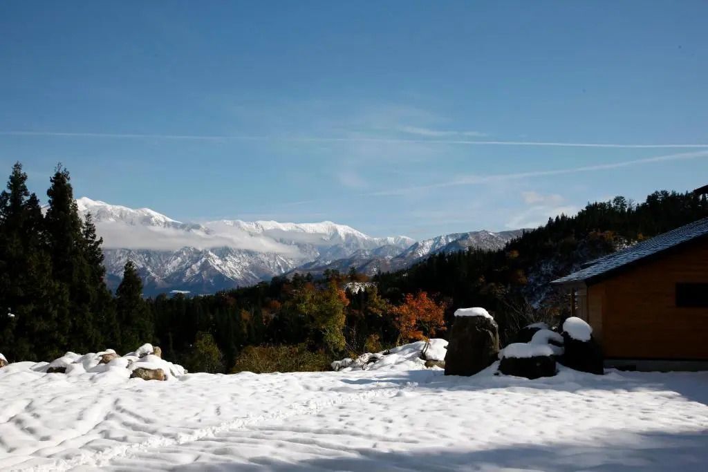 Verschneite Berglandschaft mit klarem Himmel und herbstlichen Bäumen im Vordergrund.