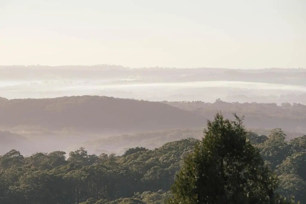 Atemberaubende Aussicht auf bewaldete Hügel und sanfte Nebelschwaden
