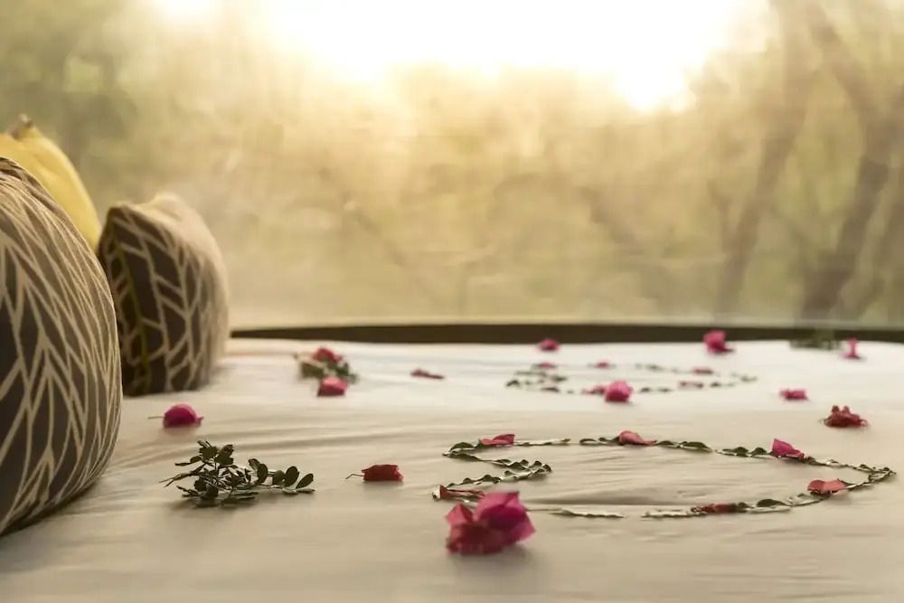 Romantisch dekoriertes Bett mit Rosenblättern und umgeben von Natur