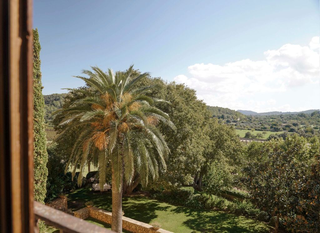 Panoramablick auf Garten und Landschaft mit Palmen unter klarem Himmel