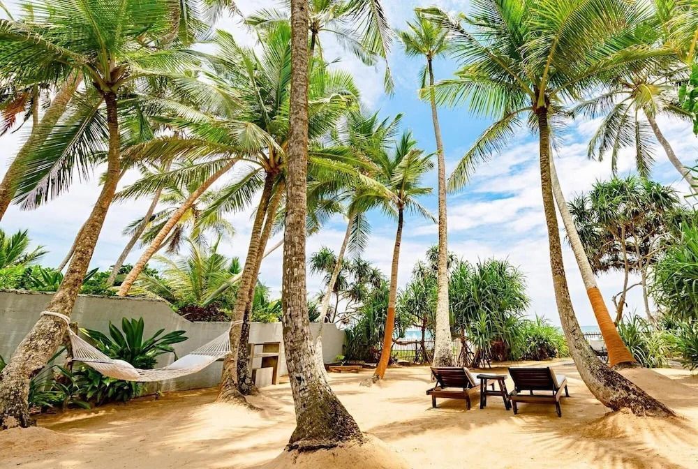 Tropischer Garten mit Palmen, Hängematte und Liegestühlen auf Sandboden