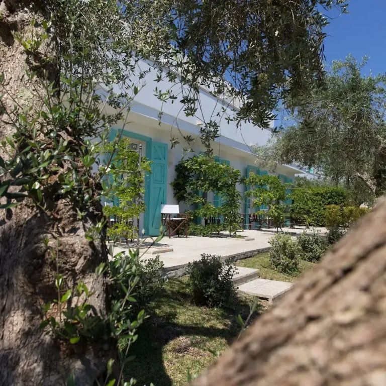 Garten mit Olivenbaum und blauen Fensterläden der Tenuta Centoporte.