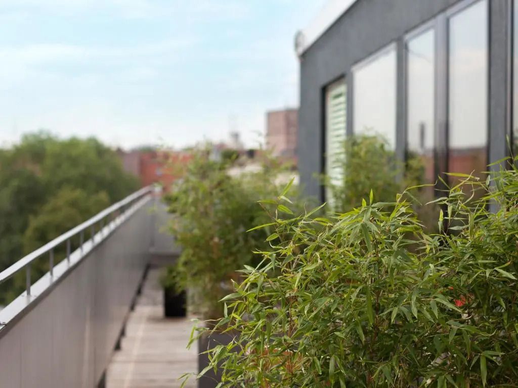 Blick auf eine Terrasse mit grünen Pflanzen und Stadtansicht im Hintergrund