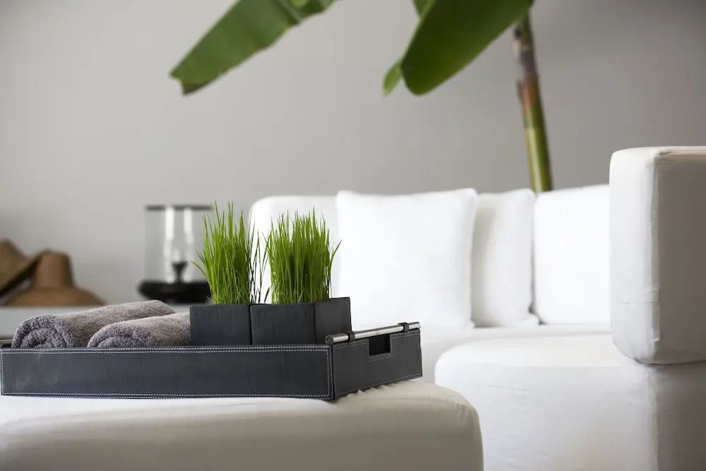 Stilvolle Weiß-Dekoration und Pflanzen auf einem Sofa in einem eleganten Wohnzimmer