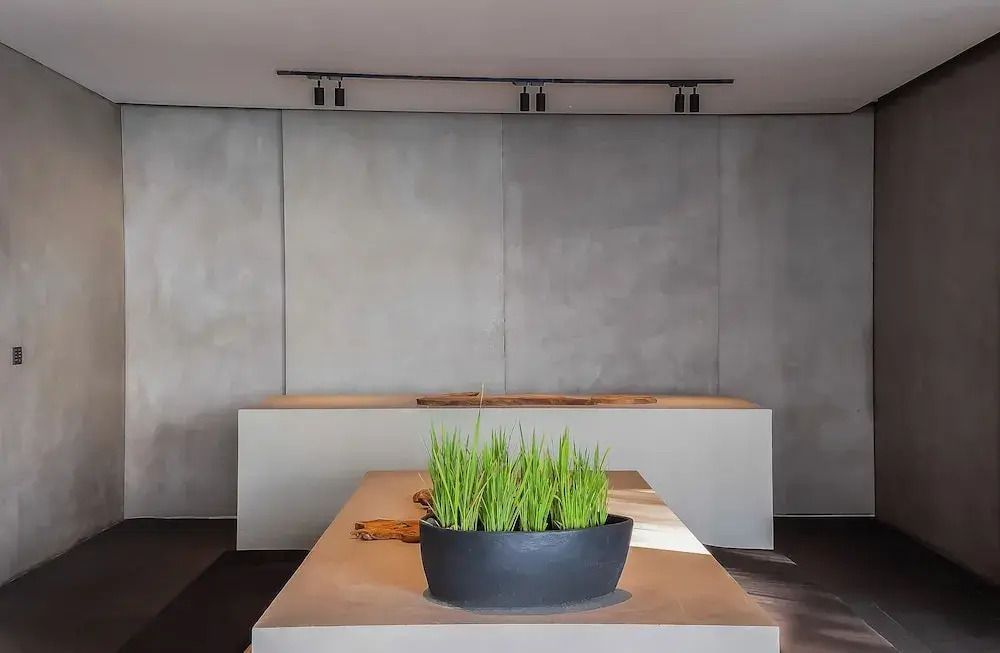 Moderne Innenarchitektur mit minimalistischer Dekoration und grüner Pflanze