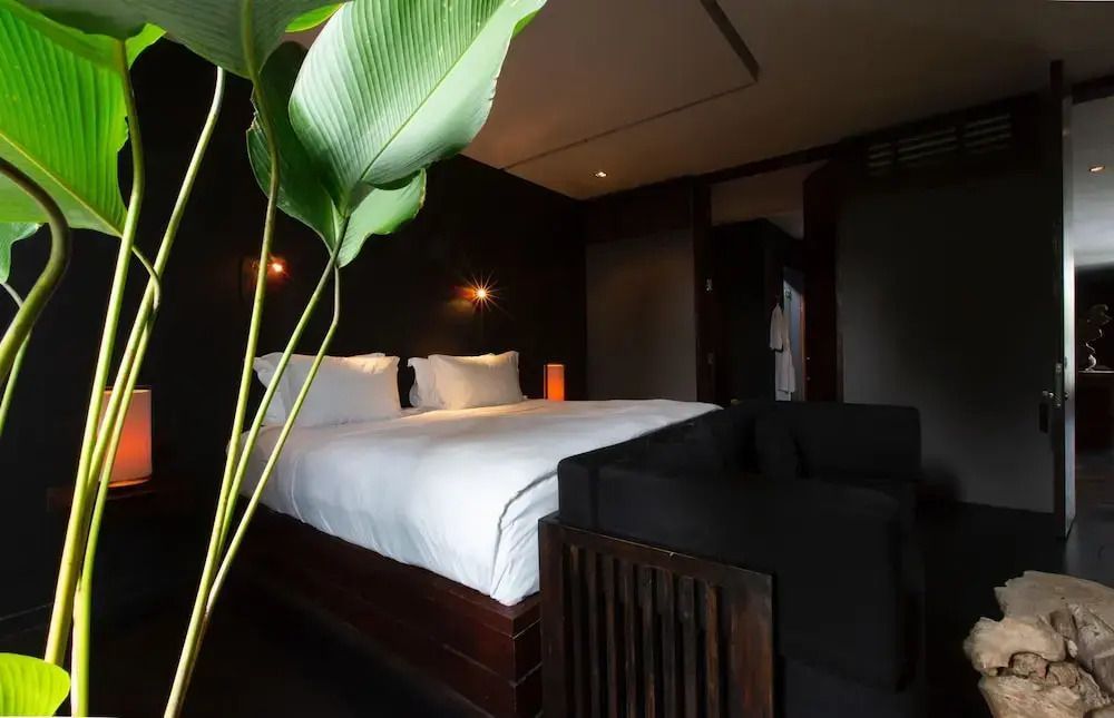Charmantes Hotelzimmer mit Doppelbett, schwarzer Wand und Pflanzenbeleuchtung