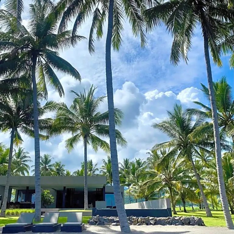 Tropische Gartenlandschaft mit hohen Palmen und moderner Villa im Hintergrund