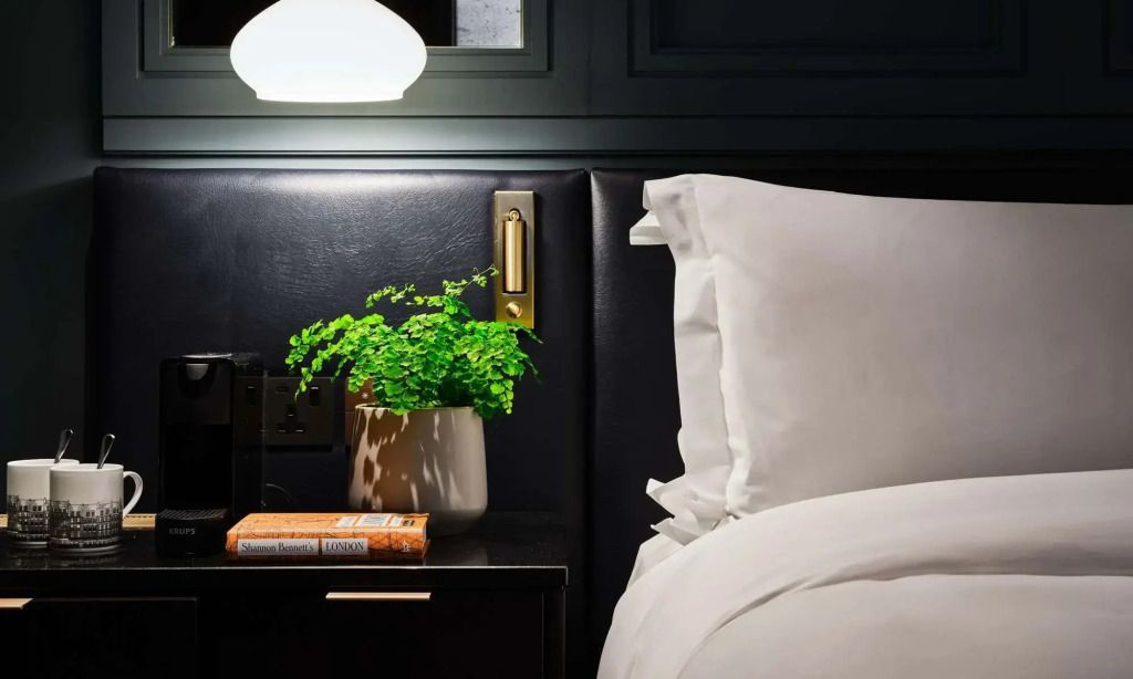Detail eines Nachttisches im Doppelzimmer mit Bettlampe und grüner Pflanze