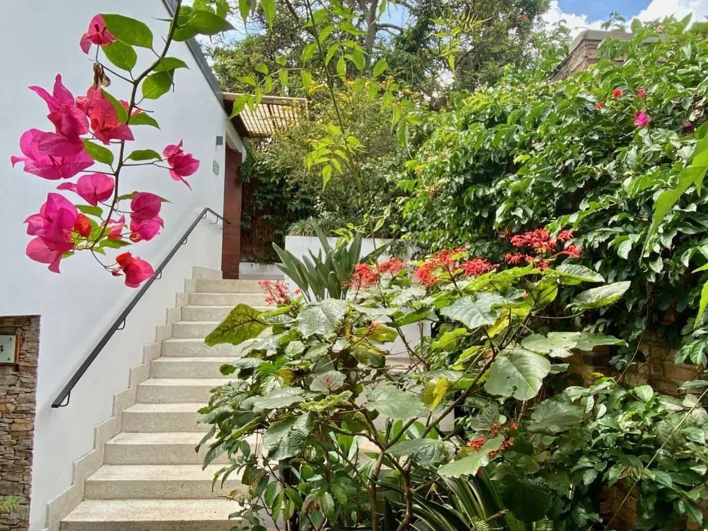 Steintreppe im Gartenbereich mit blühenden Pflanzen und üppigem Grün