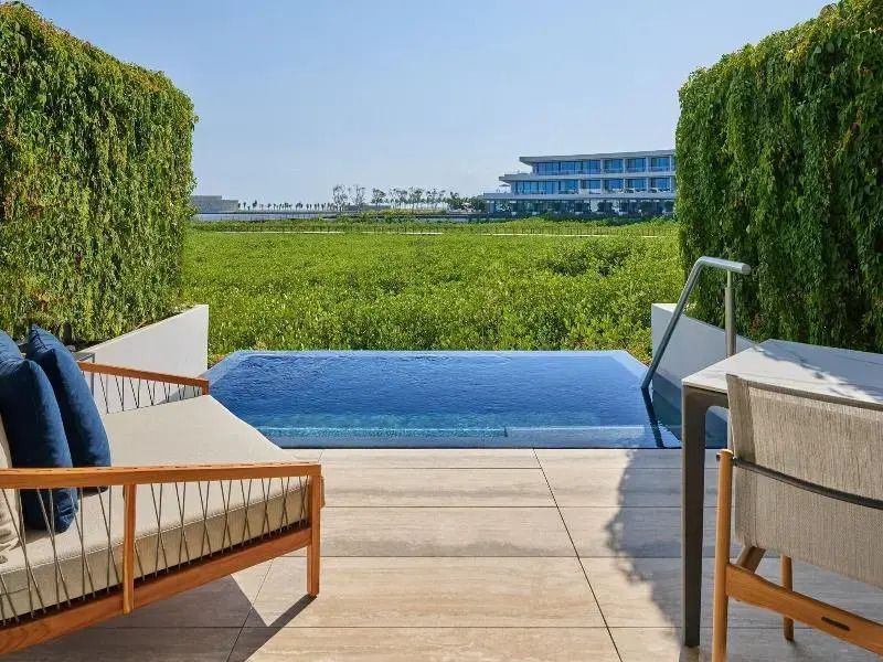 Terrasse mit Infinity-Pool und Ausblick auf grüne Landschaft im Hintergrund