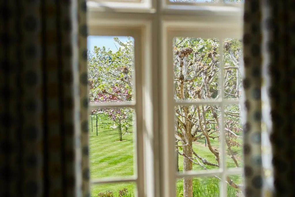 Blick aus dem Fenster auf einen blühenden Garten mit Bäumen.