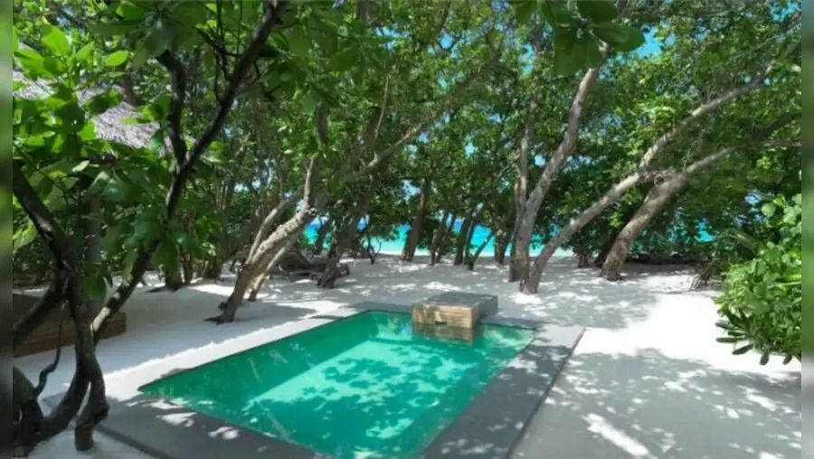 Privater Pool umgeben von tropischer Vegetation