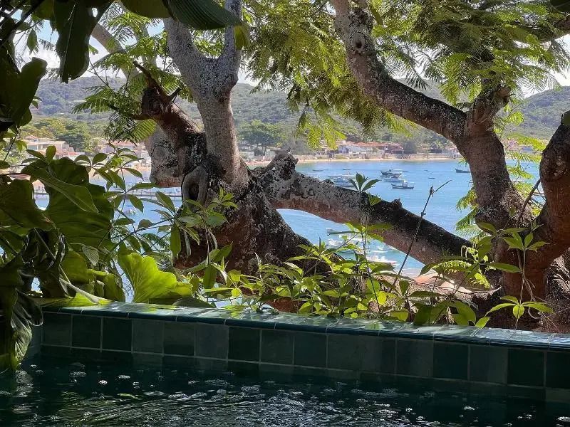Blick von der Terrasse auf das Meer durch Blätter und Zweige