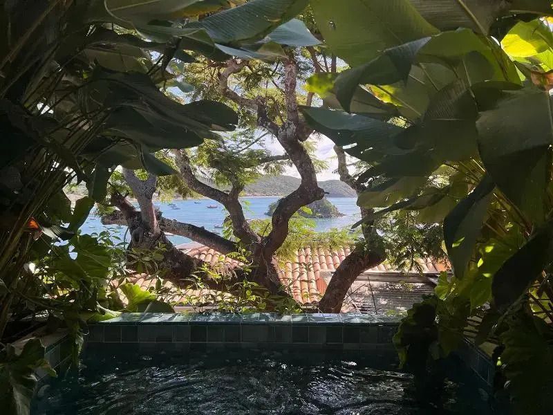 Verdeckter Meerblick von Terrasse durch dichte Blätter