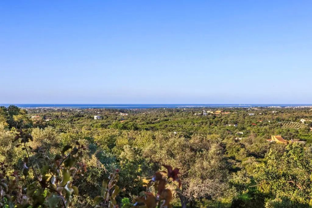 Panoramablick auf das Meer und grüne Landschaft vom Superior Suite Balkon