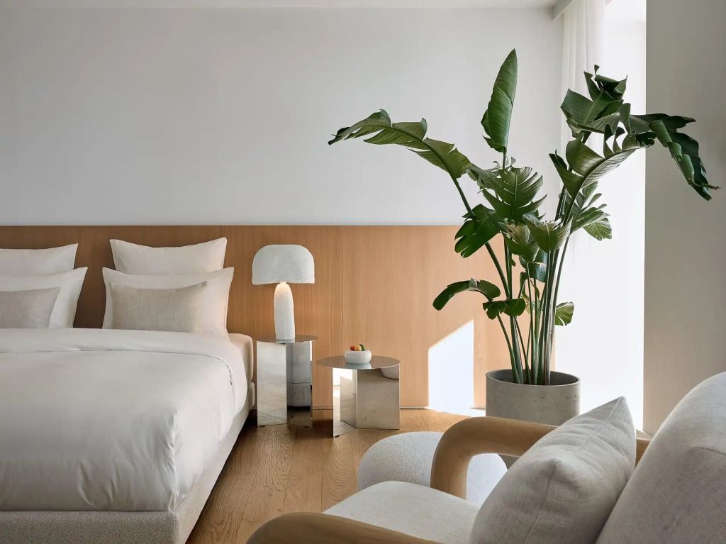 Elegant eingerichtetes Zimmer mit großen Pflanzen und stilvollen Möbeln