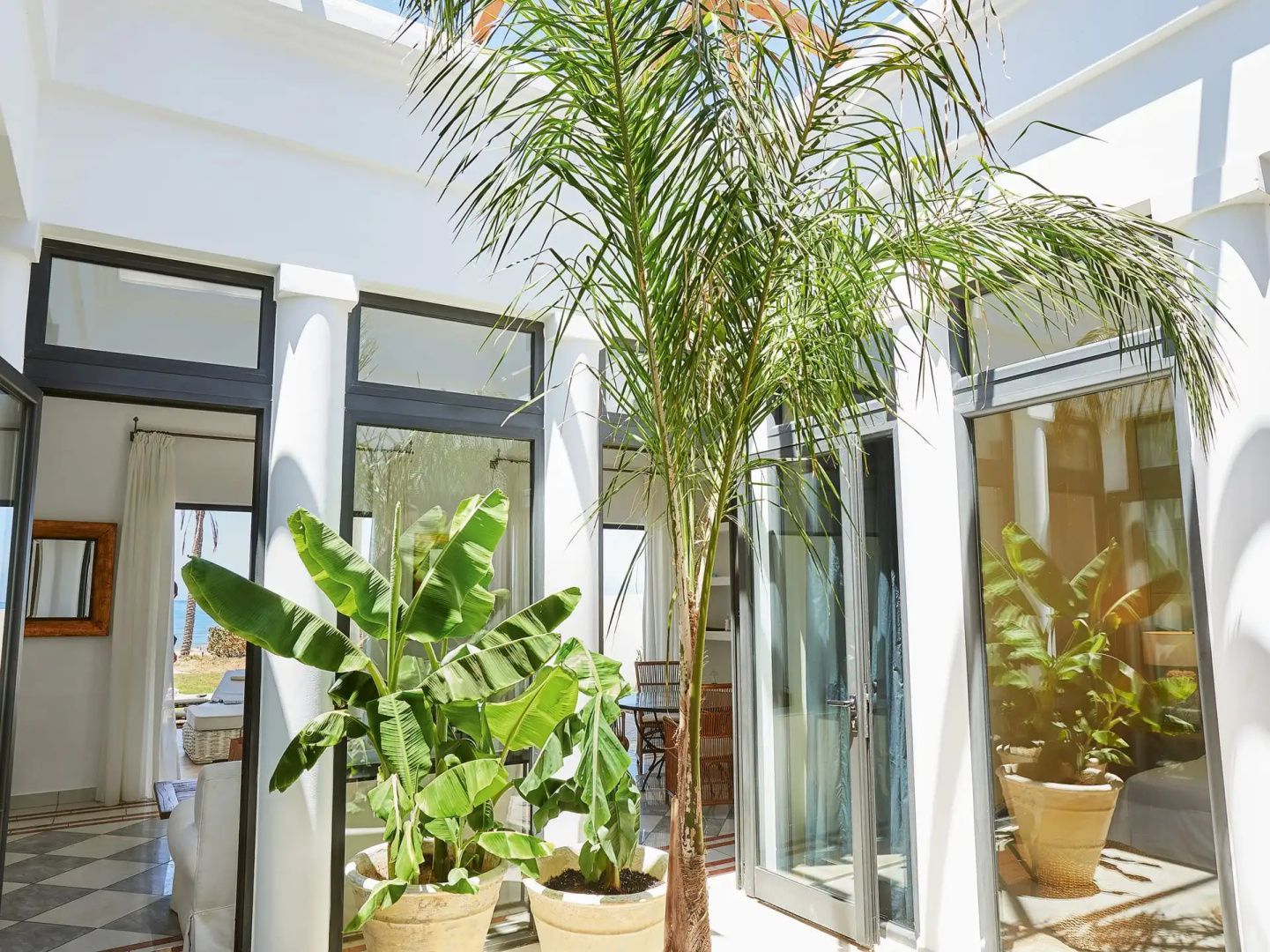Sonnenbeschienener Innenhof einer Villa mit Palmengewächsen und weißen Säulen