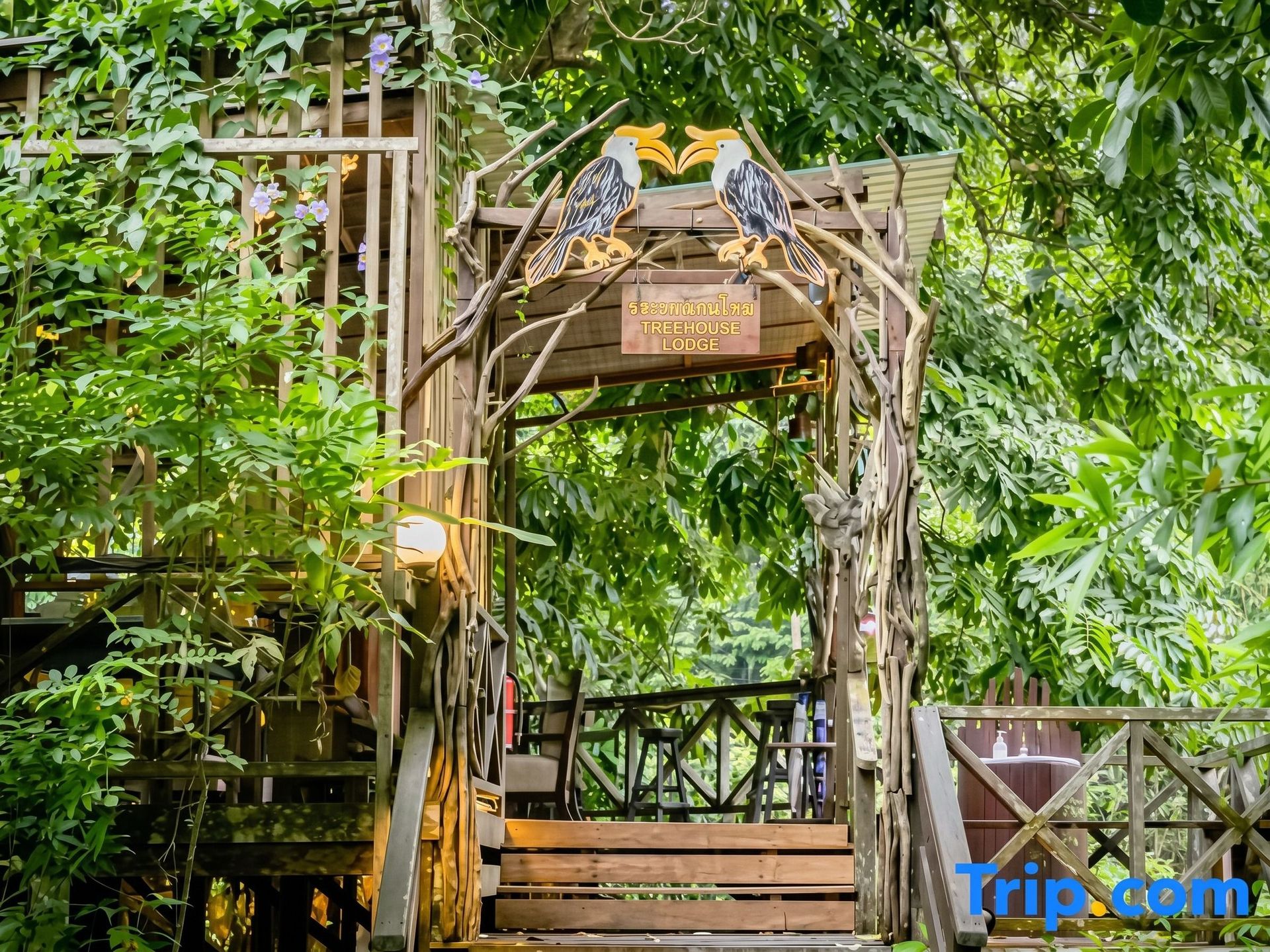 Borneo Rainforest Lodge
