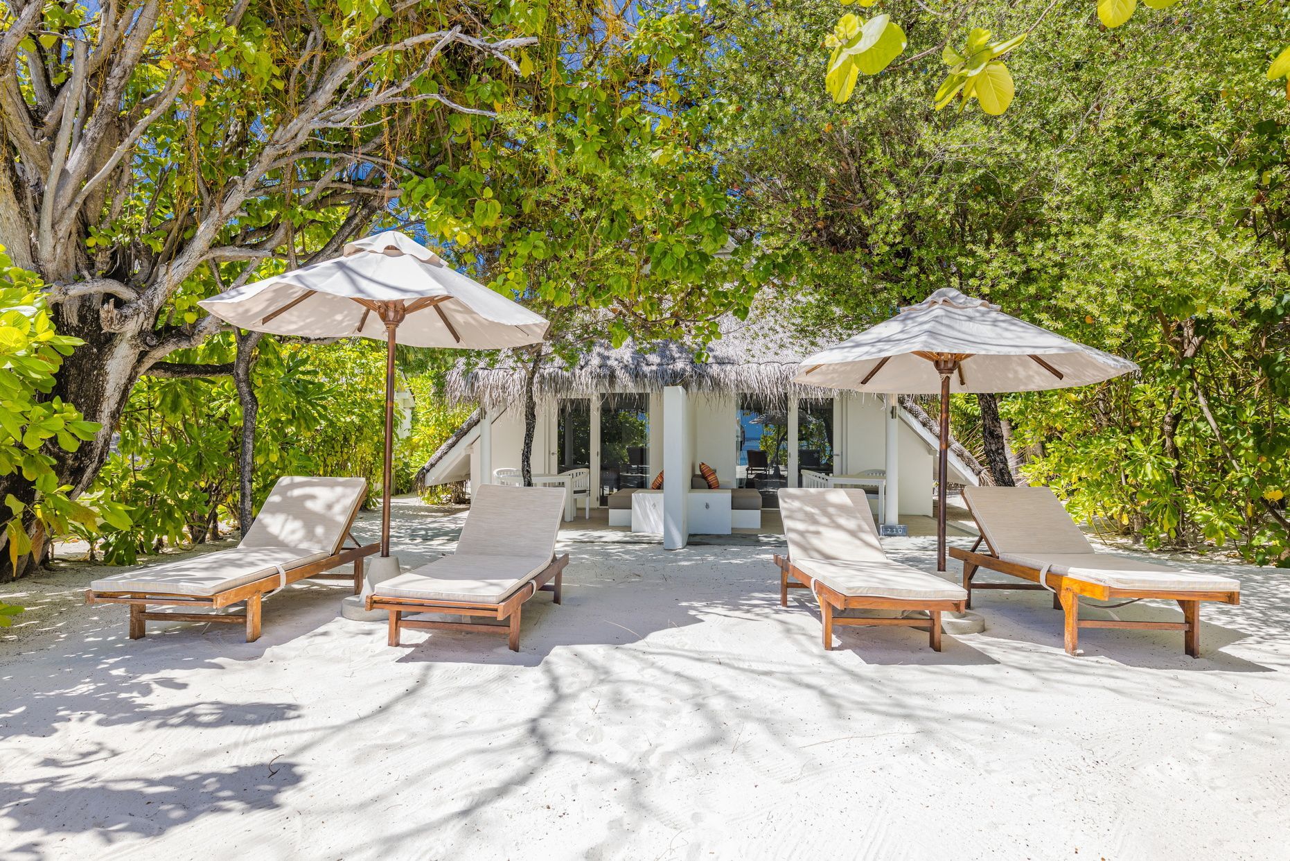 Vier Liegestühle mit Sonnenschirmen auf einem weißen Sandstrand vor einem Bungalow