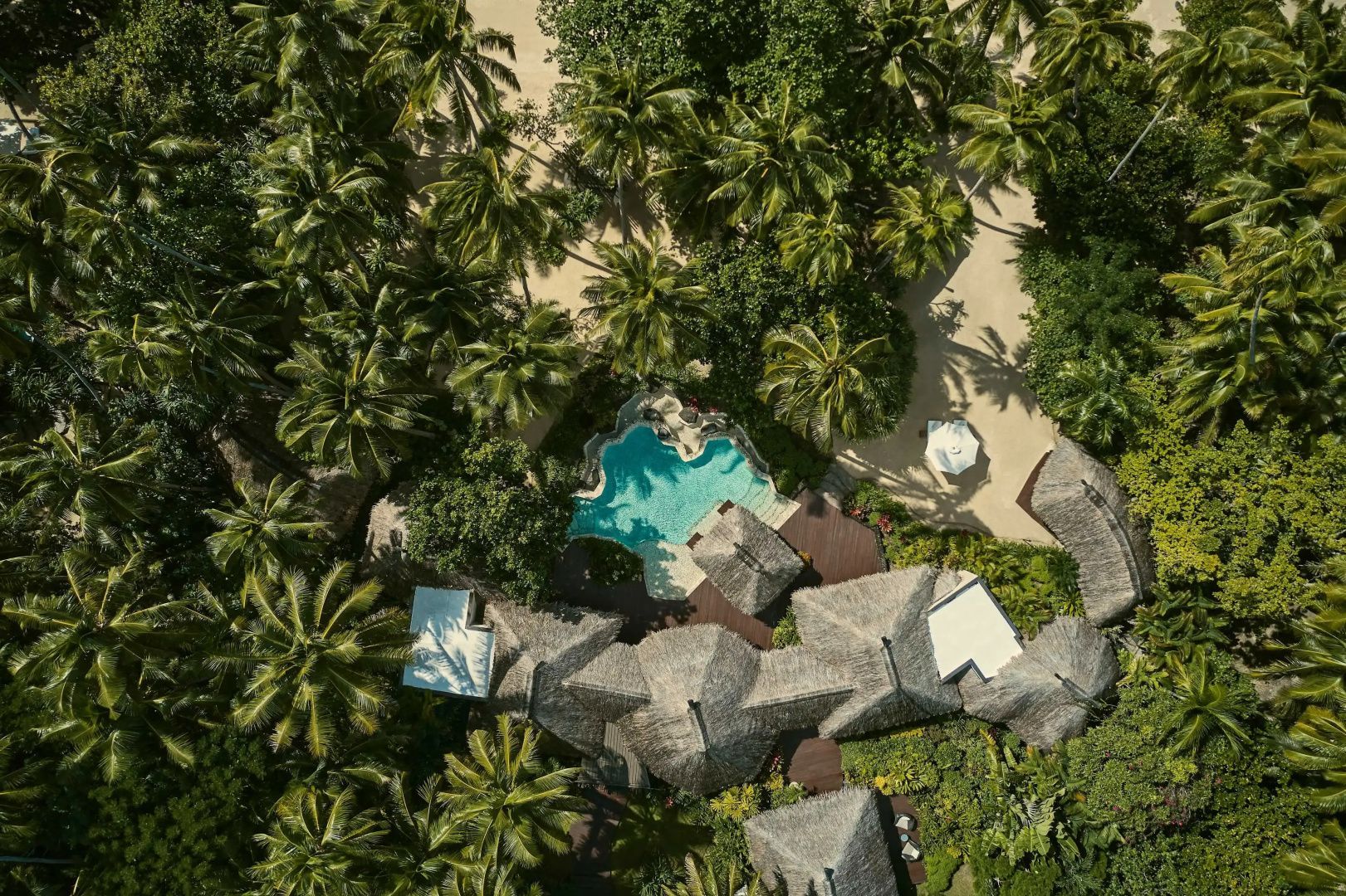 Luftaufnahme einer Villa im Resort mit Reetdächern, eigenem Pool und umliegenden Palmen.