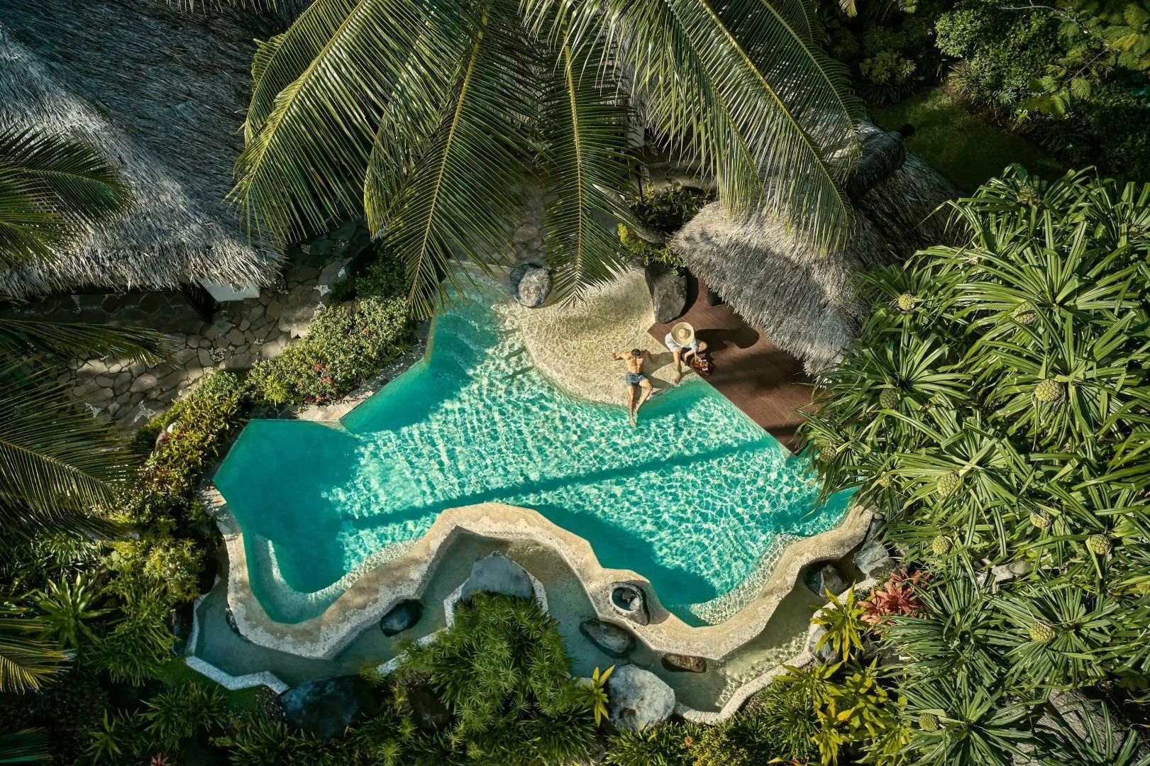 Draufsicht auf einen geschwungenen Pool im tropischen Garten zwischen dichtem Grün.