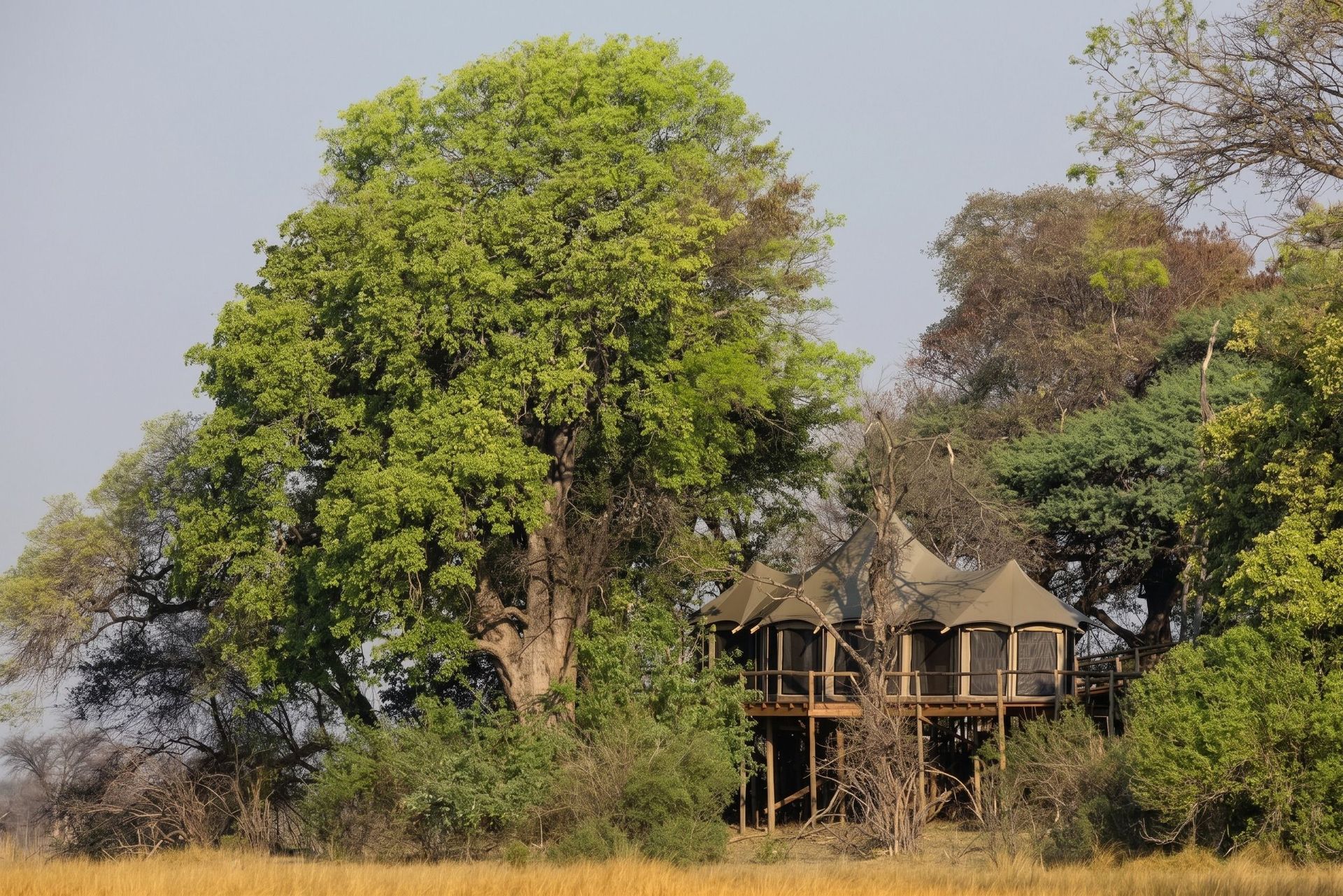 Nambwa Tented Lodge