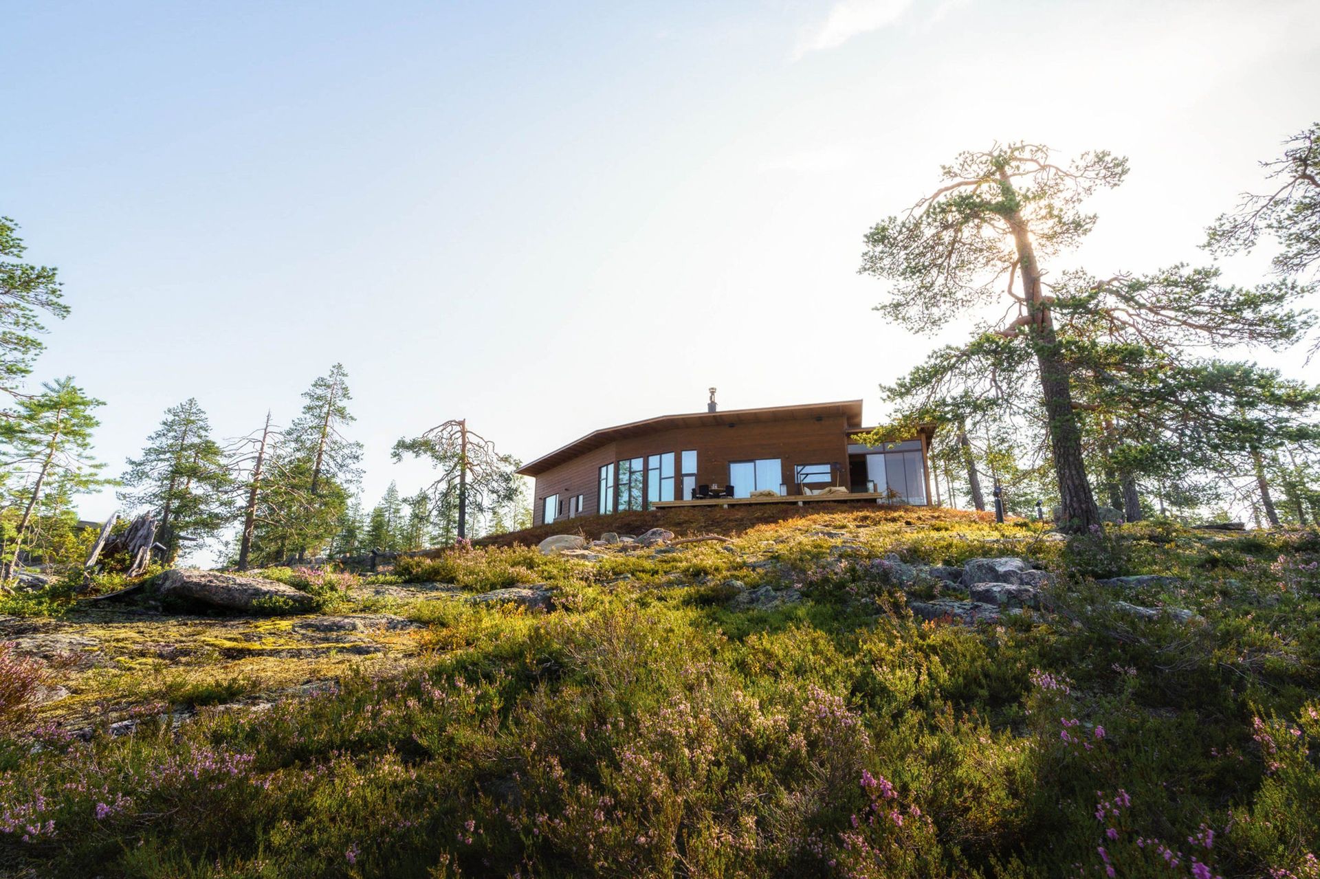 Octola Villa auf einem Felsen zwischen Kiefern im Sommer, davor Heidekraut und Moos