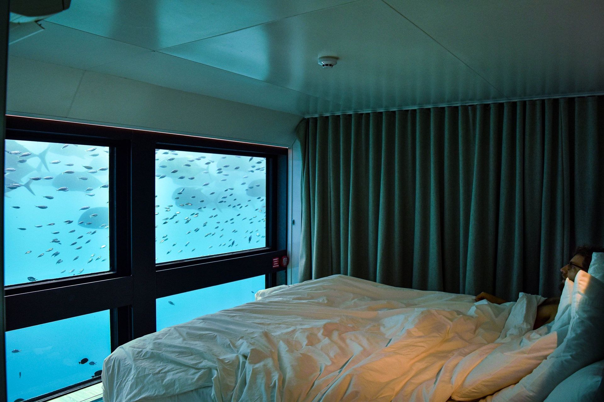 Doppelbett in einer Reefsuite, dahinter Unterwasserfenster mit Fischschwarm
