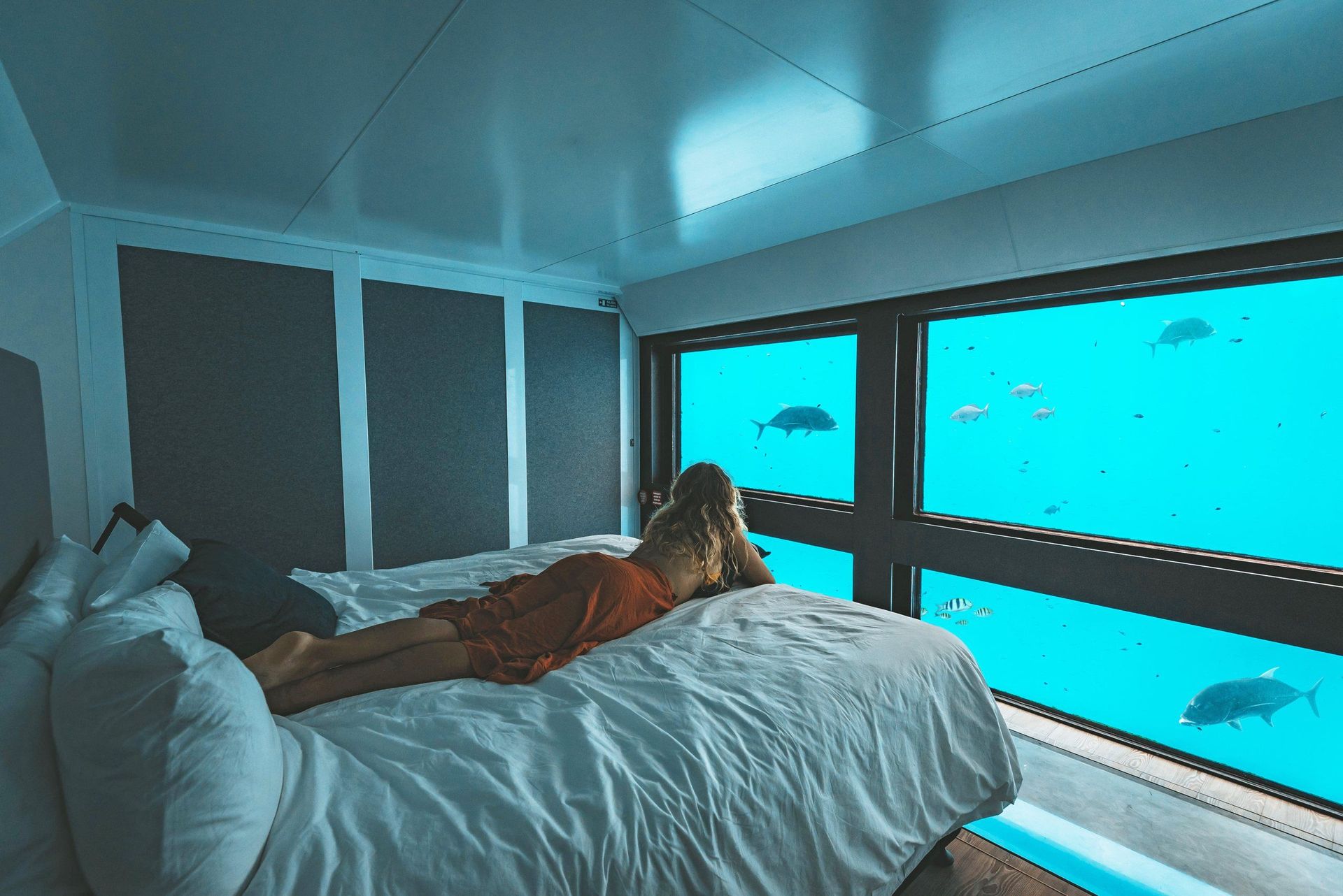 Reefsuite mit Glasboden neben dem Bett und Blick durch die Unterwasserfenster aufs Riff