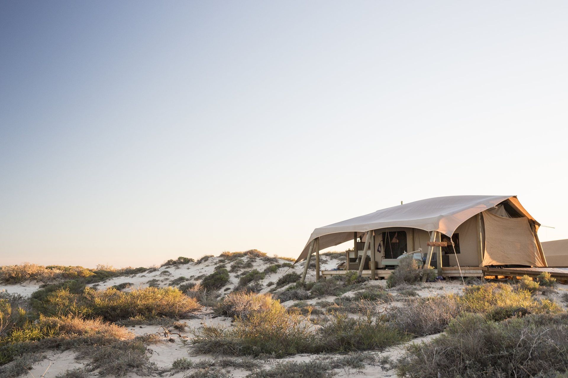 Honeymoon Tent etwas abseits auf einer Düne, im Vordergrund niedrige Küstenvegetation