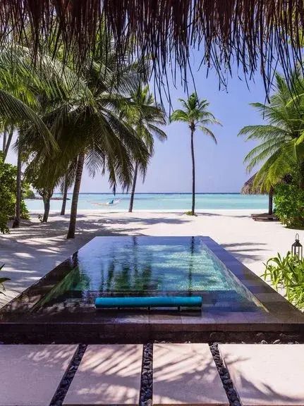 Infinity Pool mit Blick auf den weißen Sandstrand und Palmen