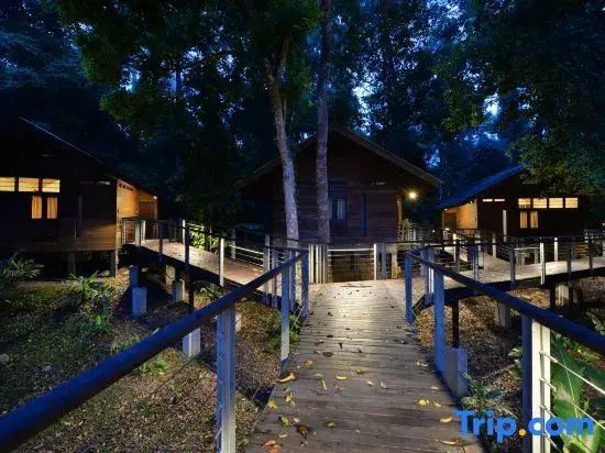 Beleuchteter Holzsteg verbindet mehrere Bungalows der Lodge bei Dämmerung im Wald.