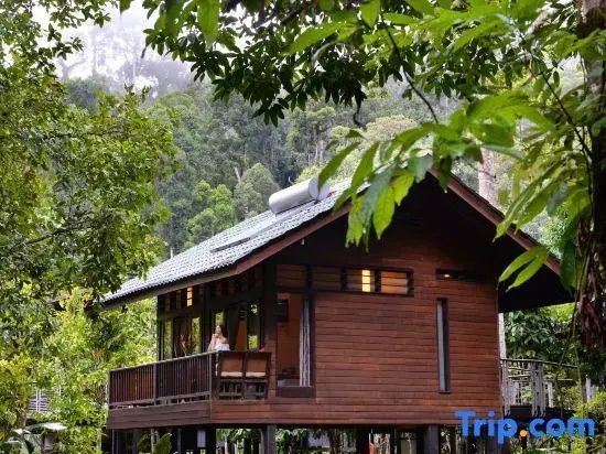 Freistehender Holzbungalow mit Balkon und Solaranlage auf dem Dach im Regenwald.