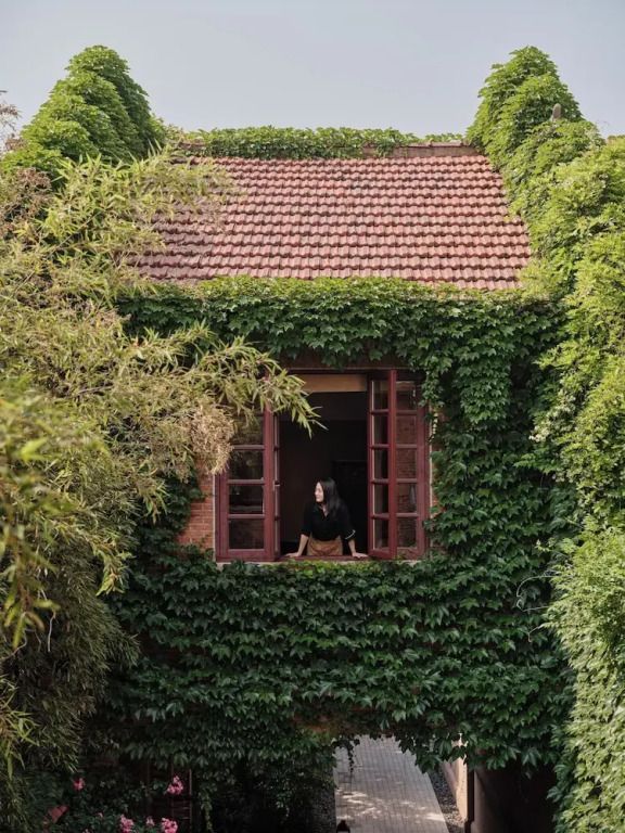 Hausfassade mit Efeu bewachsen und offenem Fenster, in dem eine Person steht