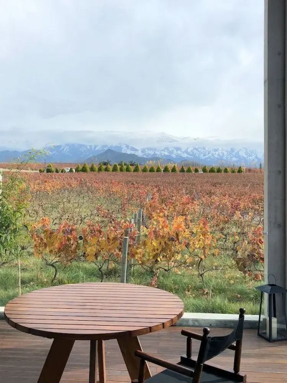 Herbstlich gefärbte Weinberge mit Bergpanorama von der Terrasse aus gesehen