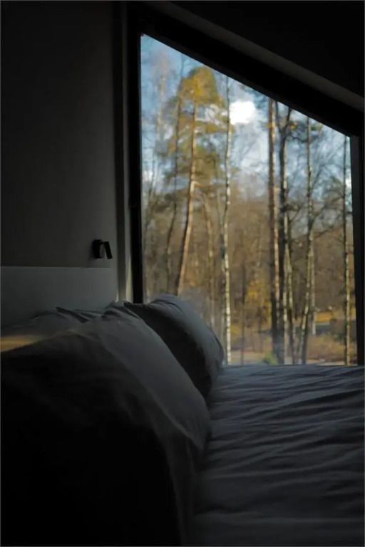 Blick vom Bett auf die großen Fenster mit Waldansicht im Deluxe Cape Town Zimmer