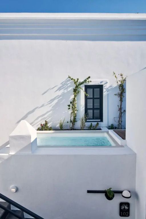Privater Pool im Innenhof mit weißer Wand und Kletterpflanzen