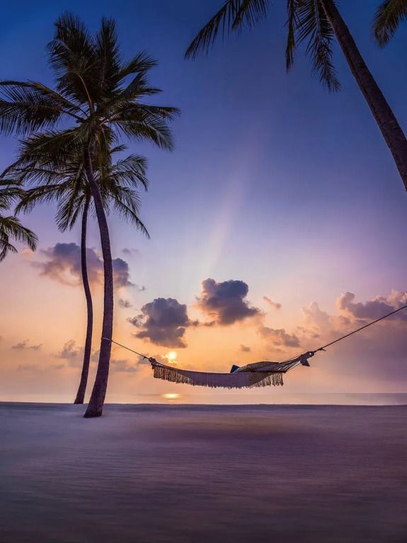 Hängematte zwischen Palmen am Strand beim Sonnenuntergang