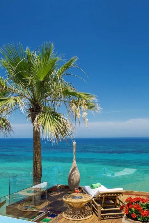 Palme mit Blick auf türkisfarbenes Meer und klarem Himmel