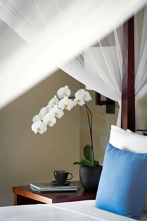 Weiße Orchidee neben einem Himmelbett mit blauen Kissen