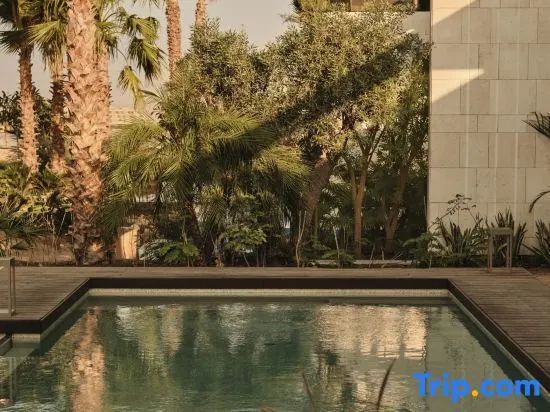 Privater Pool umgeben von exotischen Pflanzen in der Rosewood Amaala Villa.
