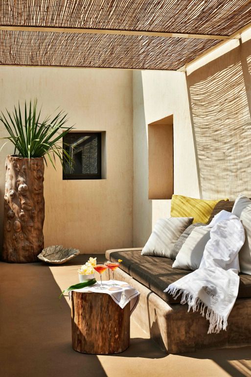 Gemütliche Terrasse mit Pflanzen und bequemer Sitzgelegenheit
