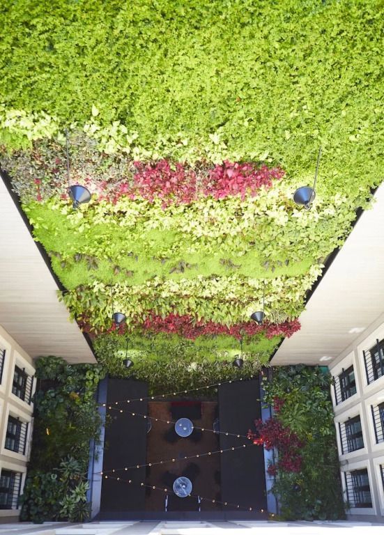 Vertikaler Garten mit üppigem Grün und bunten Pflanzen an der Hotelwand