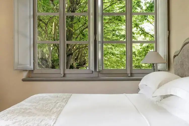 Blick durch das geöffnete Holzfenster eines Schlafzimmers auf dichte grüne Baumkronen.