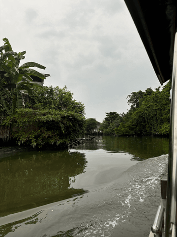 Der Blick über den Fluss in Bangkok offenbart üppige, grüne Vegetation am Ufer – fast wie im Dschungel wirkt die Szenerie und lässt die Metropole für einen Moment ganz fern erscheinen.
