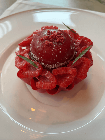 Ein kunstvoll angerichtetes Dessert verführt mit fruchtigem Himbeersorbet, cremigem Kokossorbet und frischen halbierten Himbeeren – ein Spiel aus Farbe, Textur und tropischer Leichtigkeit.