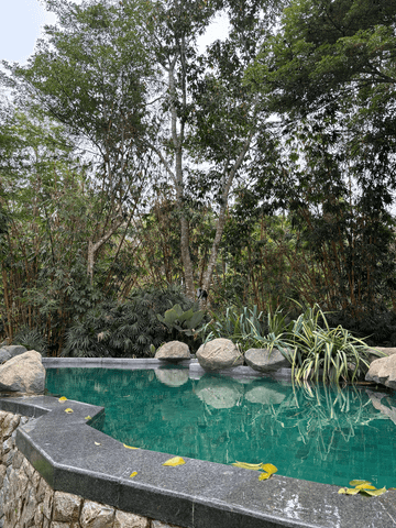 Luxuriöser Pool umgeben von üppiger Vegetation und Natursteinen.