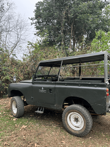Klassischer, offen gestalteter Geländewagen in einer grünen Umgebung