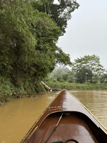 Braunes Boot auf einem ruhigen Fluss umgeben von üppigem Grün im Hintergrund.